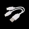 Кабель-переходник USB A-2хType-C