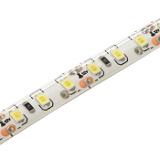 Стрічка світлодіодна 3528 120led холодна за 0,5м, 
  ціна за 0,5м; 12V; 0,8 A/м(9,6 W/м); 120led/м; Ш=8мм; IP65 (в силіконі), () []