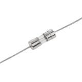 Запобіжник 3.6х10 вивідний швидкодіючий 0,8 А 250V